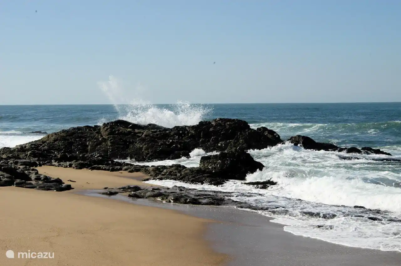 Blick auf den Strand vor dem Haus