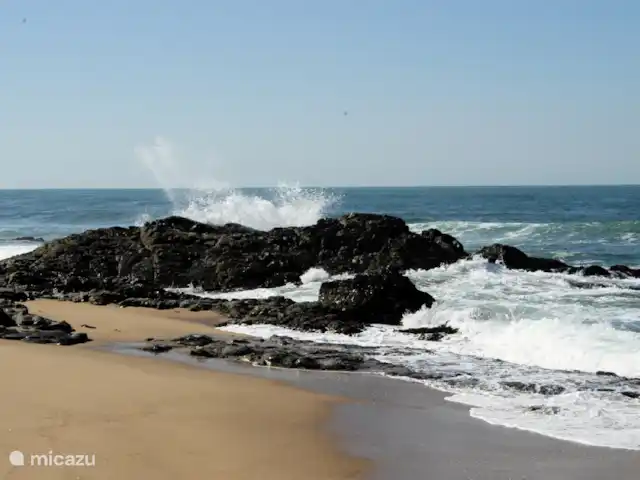 Thatch by the Sea en Sudáfrica, KwaZulu-Natal, Ballito - bungaló Playa frente a la casa
