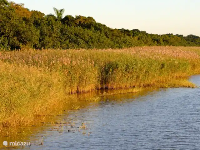 Thatch by the Sea en Sudáfrica, KwaZulu-Natal, Ballito - bungaló Vista de Santa Lucía: 2 horas en automóvil desde nuestra casa