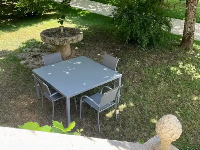 La Croze - Gite Renoir huren in Frankrijk, Lot, Vire-sur-Lot - appartement Terras onder de bomen