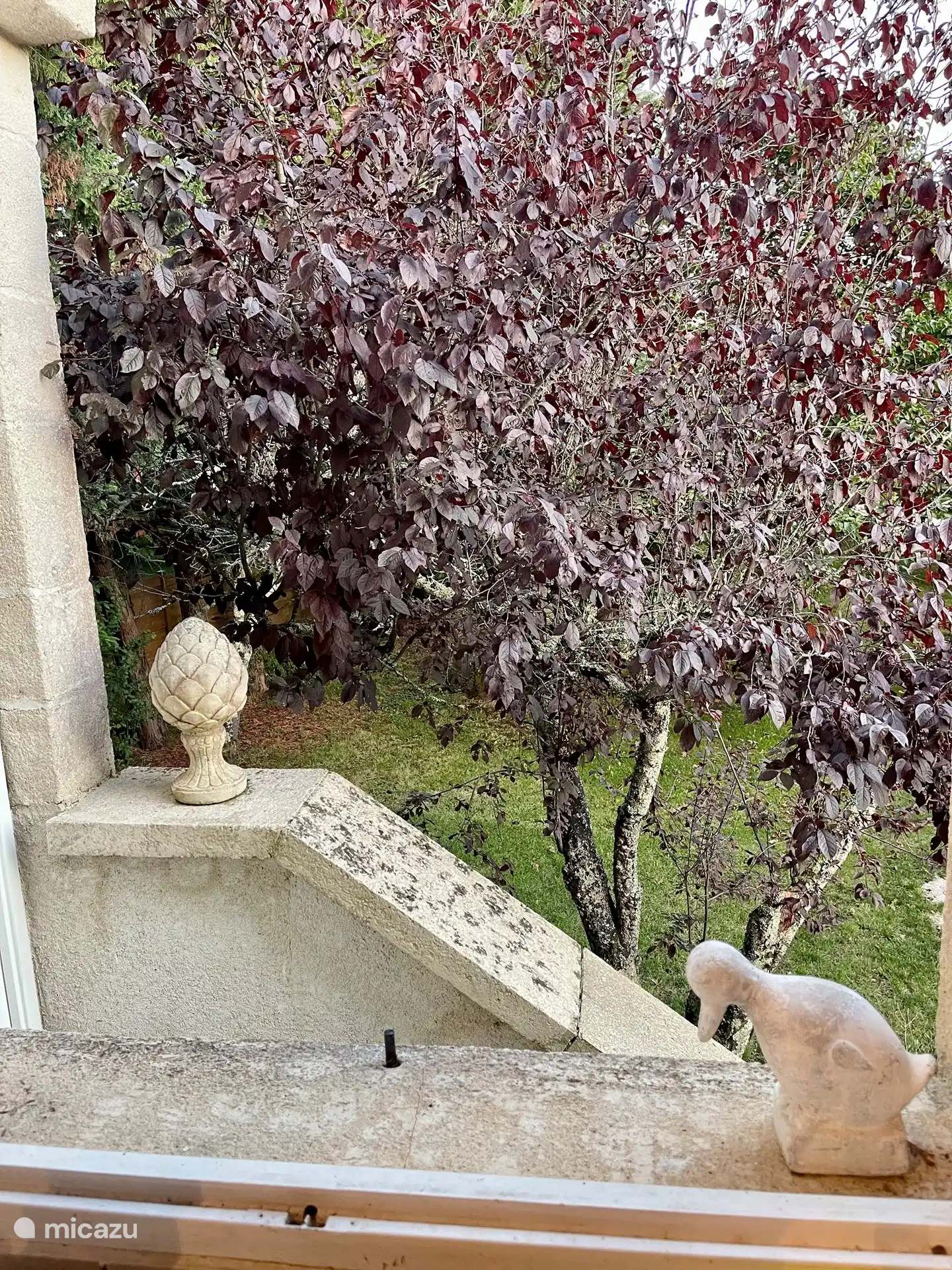 Blick aus der Küche