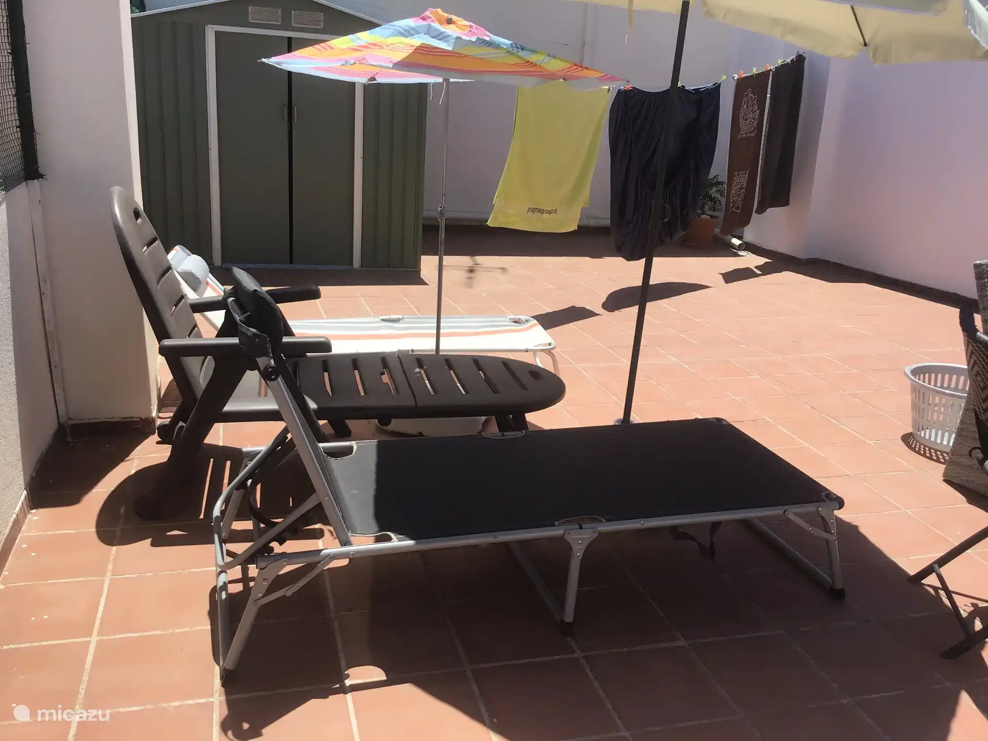 Sun loungers with gazebo 