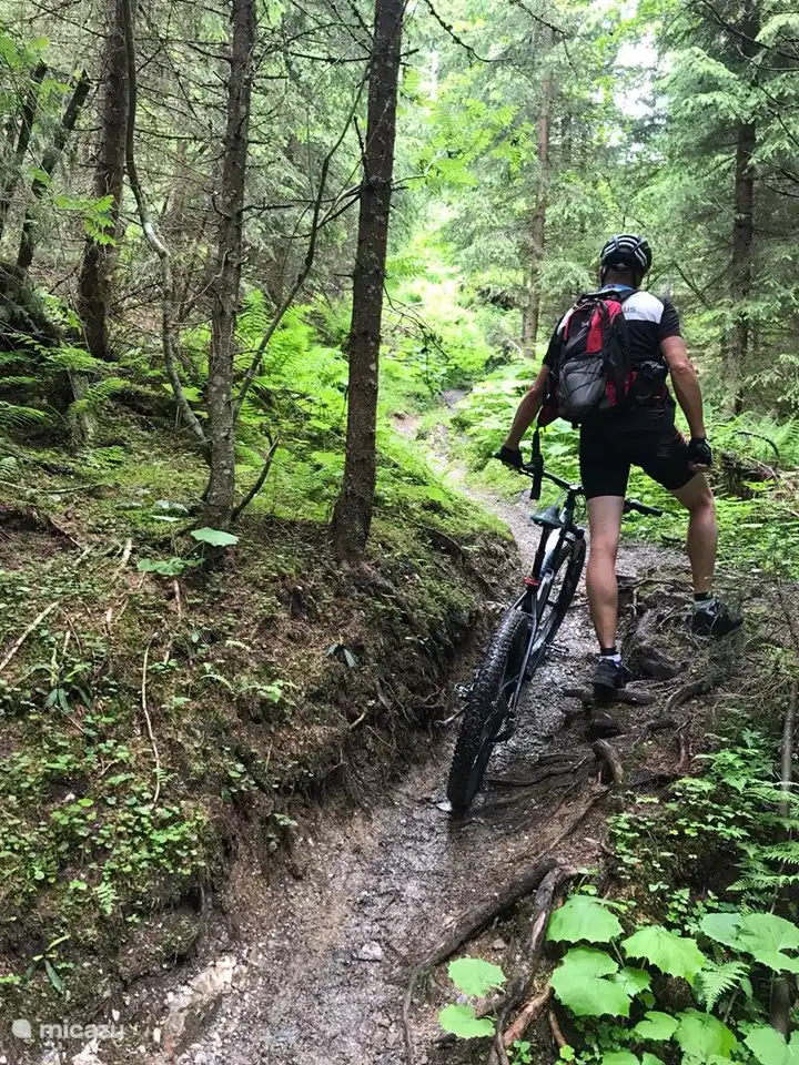 MTB y Ebiking en Alpendorf Austria