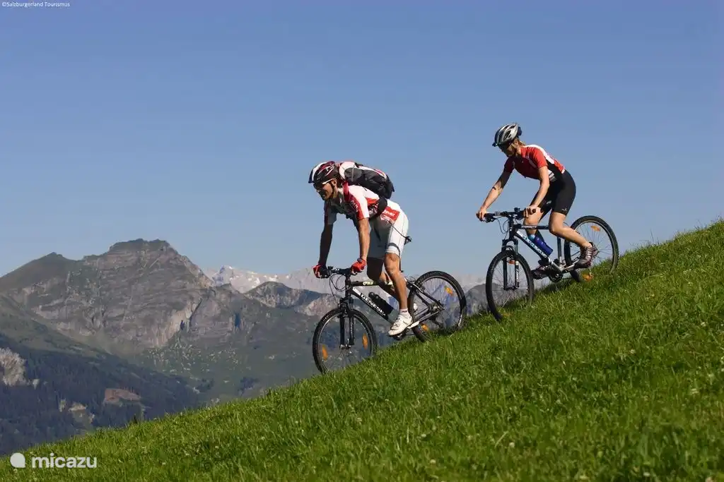 Ciclismo de montaña, E-biking, descenso