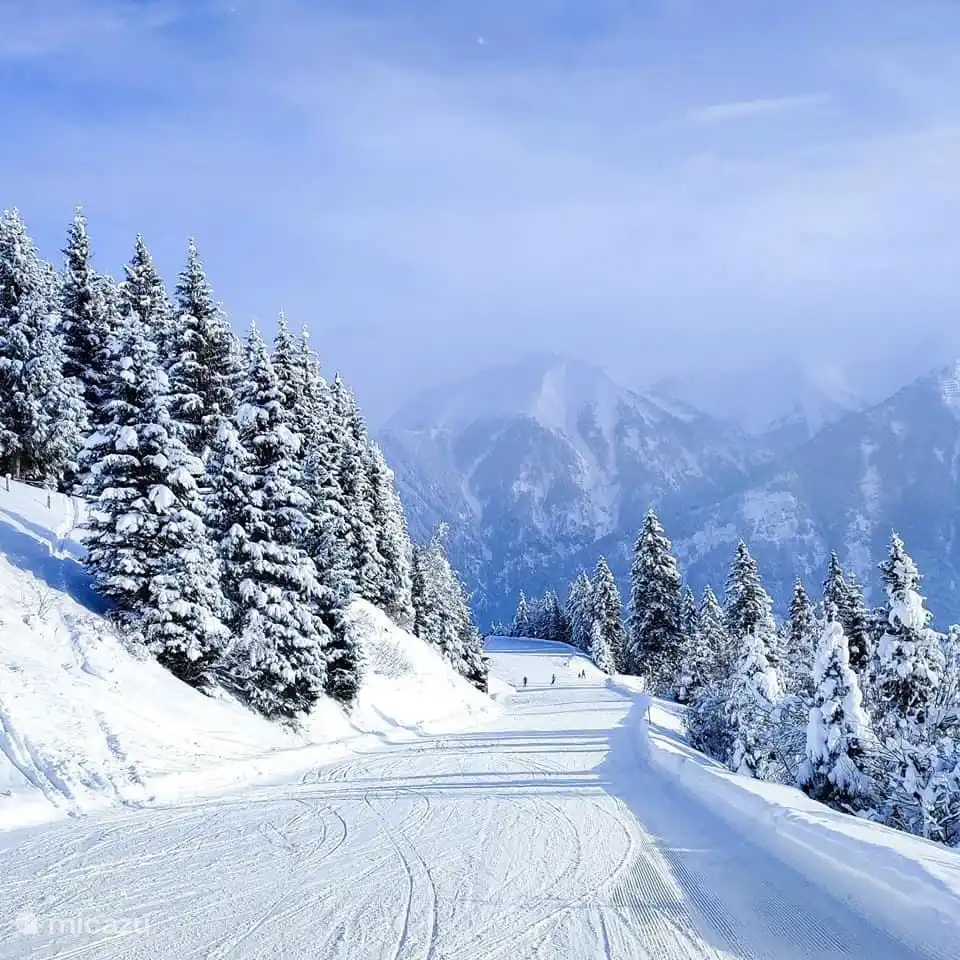 El dominio esquiable de Snow-Space-Salzburg y Kleinarl-Flachauwinkl-Zauchensee tiene un total de más de 210 km de pistas azules, rojas y negras y 70 remontes. La zona forma parte del Salzburger Sportwelt, que a su vez forma parte del Skiamade con 740 km de pistas