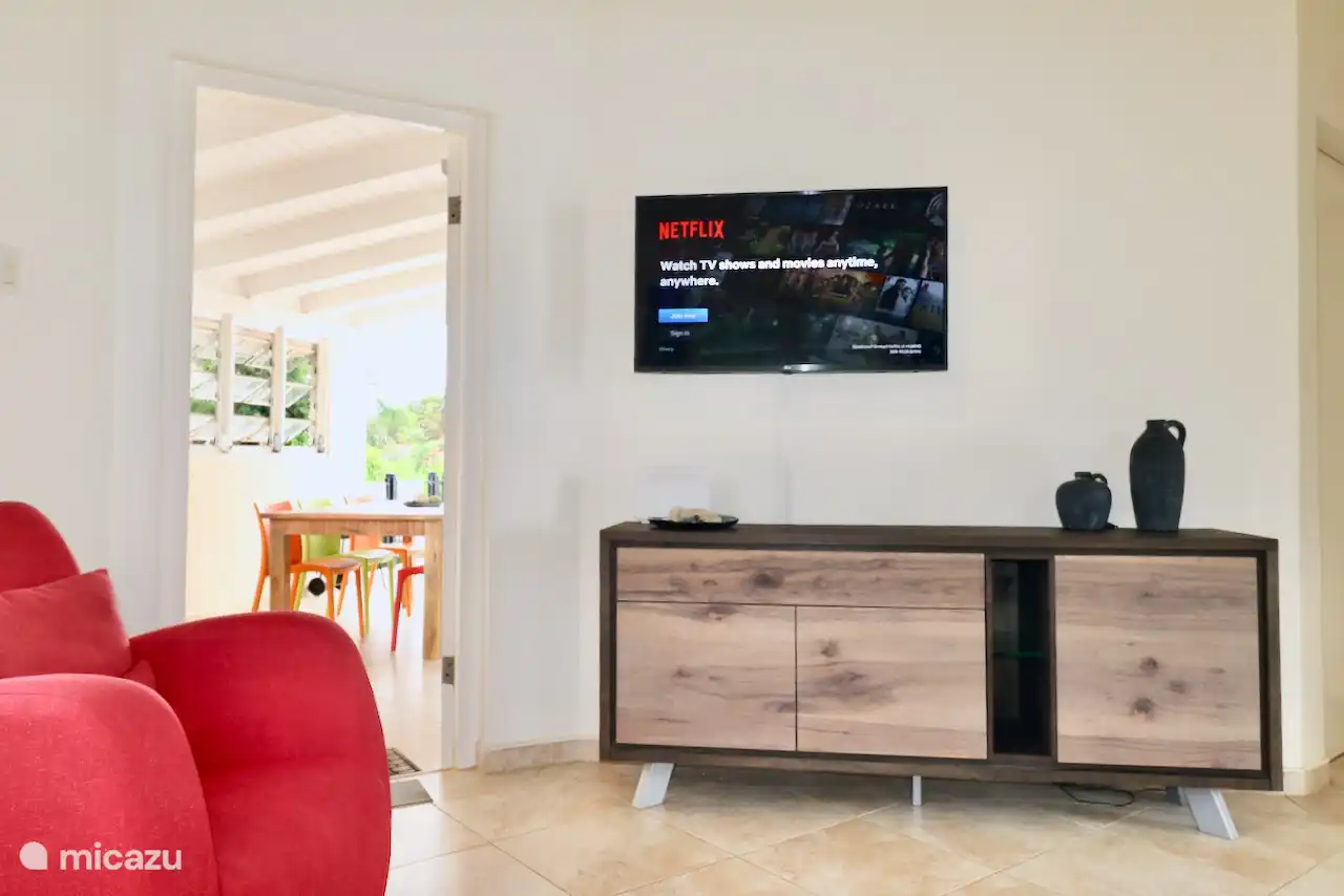 Smart TV 43 avec Netflix, Internet et Spotify