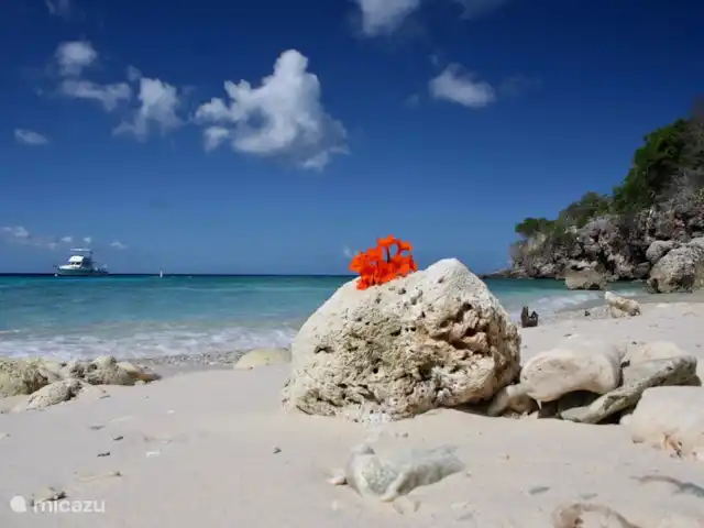 Beau bungalow sur SeruCoral Curaçao | Curaçao, Curaçao-Centre, Partisan du corail - bungalow Playa Kalki à West Point