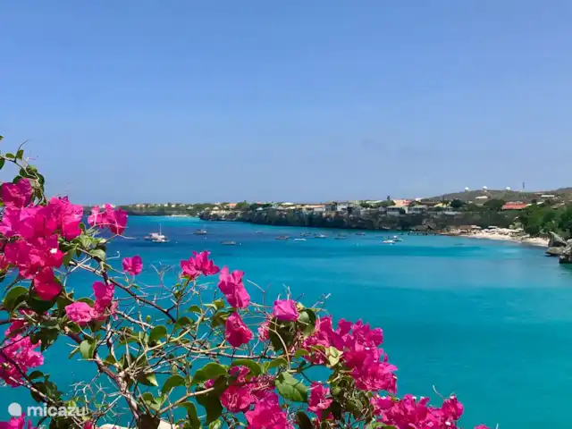 Beau bungalow sur SeruCoral Curaçao | Curaçao, Curaçao-Centre, Partisan du corail - bungalow West Point