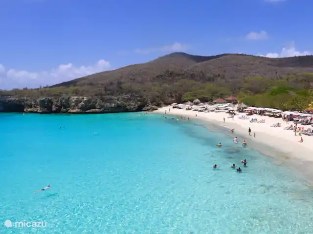 Beau bungalow sur SeruCoral Curaçao | Curaçao, Curaçao-Centre, Partisan du corail - bungalow Plage de Grote Knip
