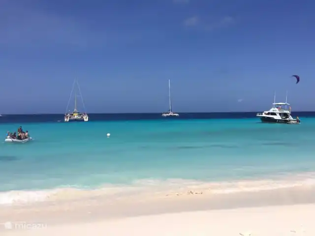 Beau bungalow sur SeruCoral Curaçao | Curaçao, Curaçao-Centre, Partisan du corail - bungalow Petit Curaçao