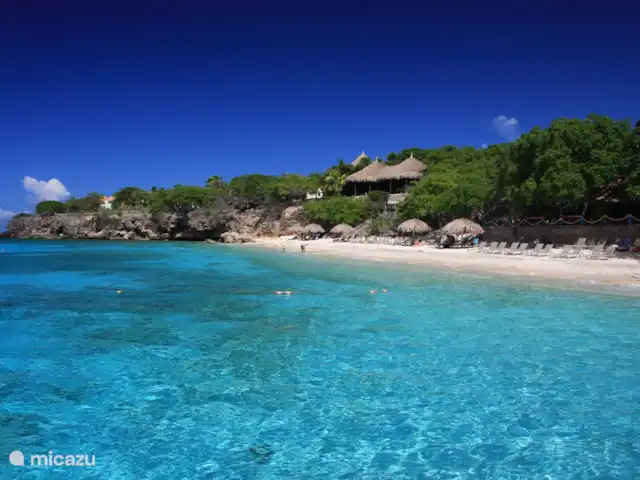 Beau bungalow sur SeruCoral Curaçao | Curaçao, Curaçao-Centre, Partisan du corail - bungalow Plage de Kalki