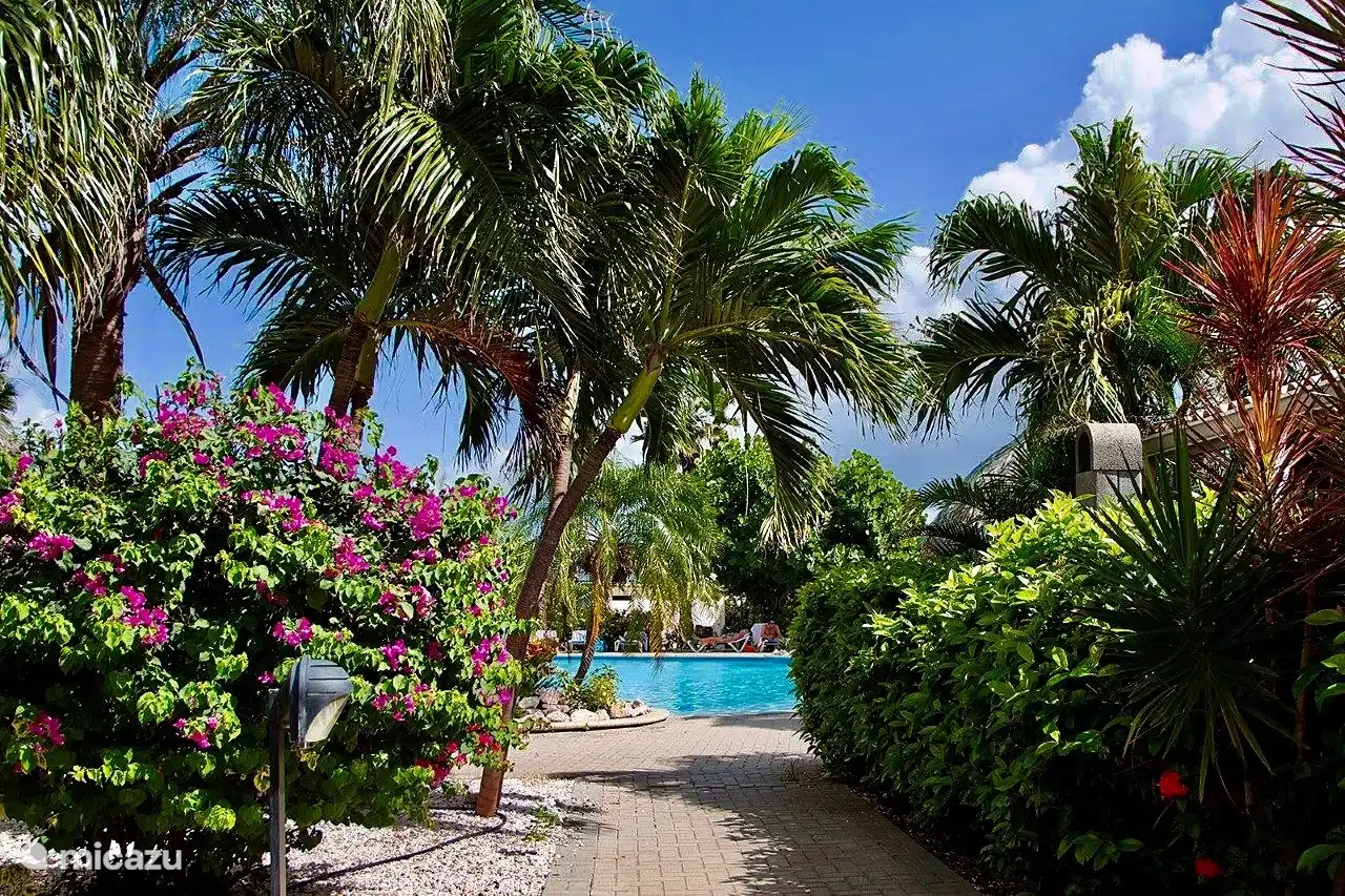 jardin tropical près de la piscine