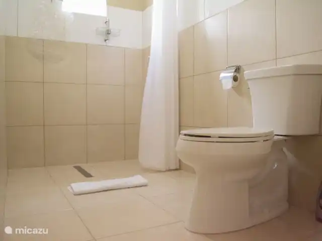 Location de Vacances Curaçao, Curaçao-Centre, Santa Rosa-Scherpenheuvel, studio - Group Garden Gateway, Kalbas La douche du studio
