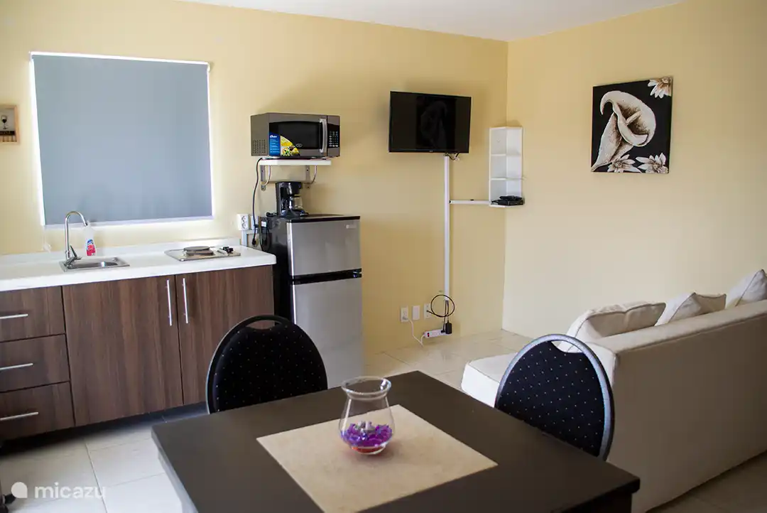 Auf einem Bild des Studio-Apartments sehen Sie die Küchenzeile und den Sitzplatz im Zimmer