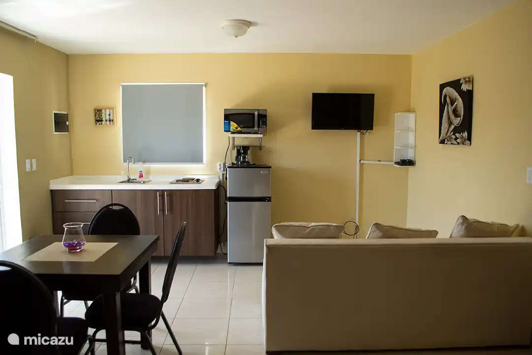 Auf einem Bild des Studio-Apartments sehen Sie die Küchenzeile und den Sitzplatz im Zimmer