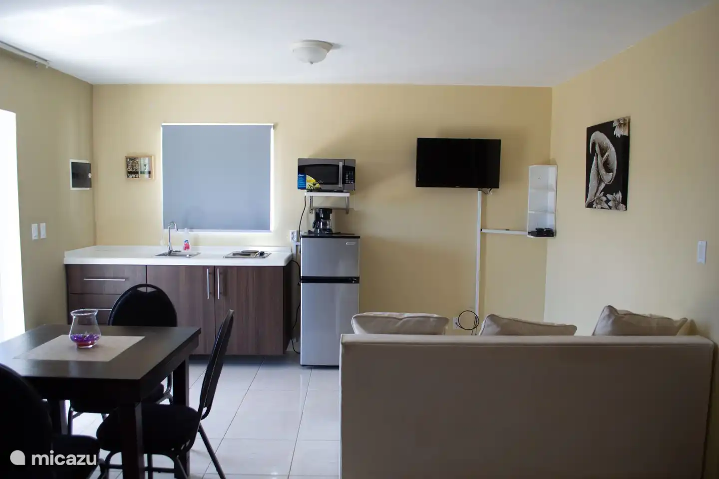 Auf einem Bild des Studio-Apartments sehen Sie die Küchenzeile und den Sitzplatz im Zimmer