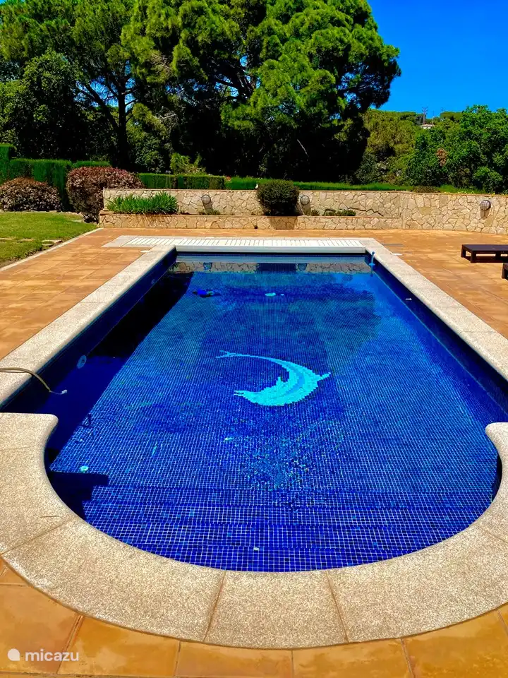 Schöner großer Swimmingpool