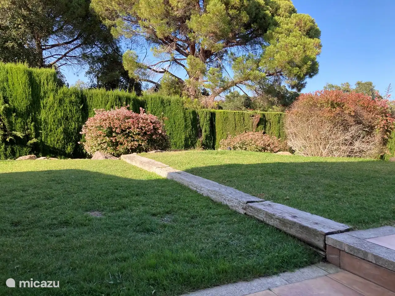 Wunderschön gepflegter Garten