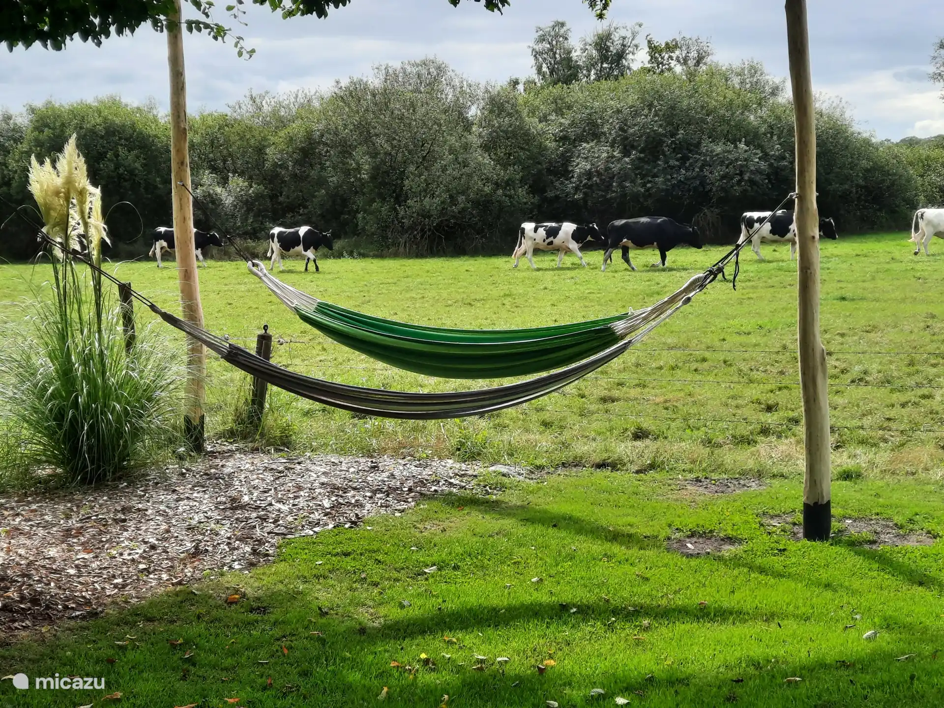 Aussicht aus der Hängematte.