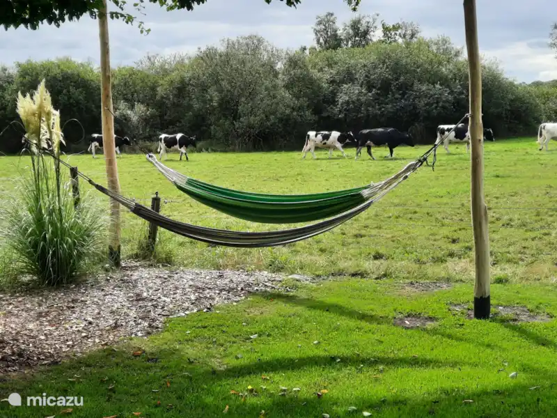 Gîte du fermier | Pays-Bas, Drenthe, Fluitenberg - Maison de vacances Gîte du fermier | Pays-Bas, Drenthe, Fluitenberg - Maison de vacances