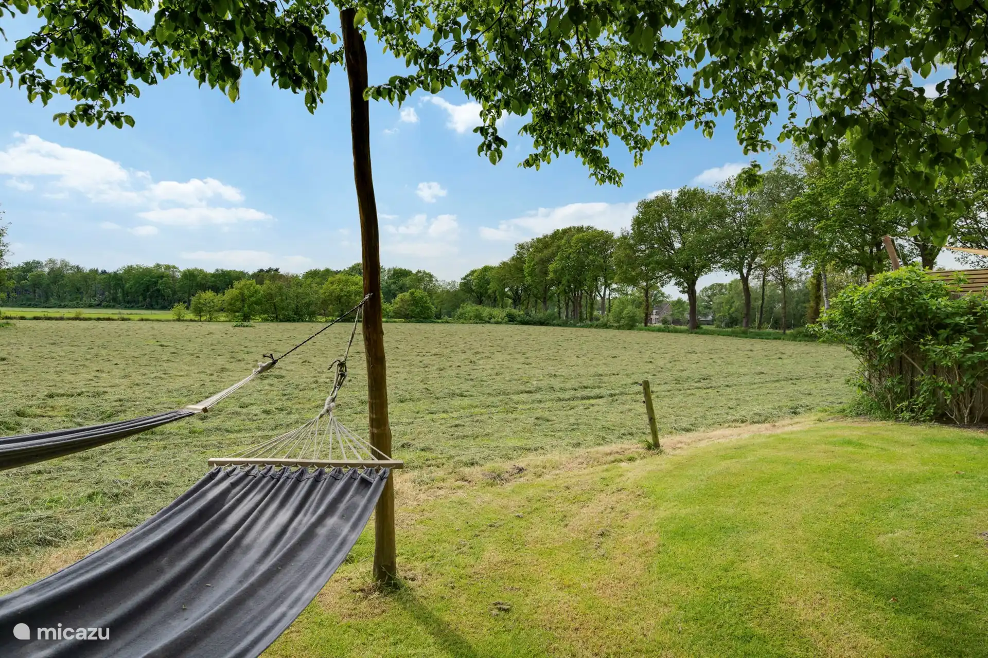 Die Aussicht aus Ihrer Hängematte