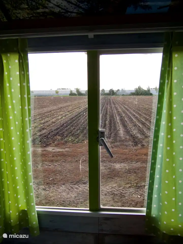 Blick über die Felder. Mit etwas Glück blühen die Pfingstrosen