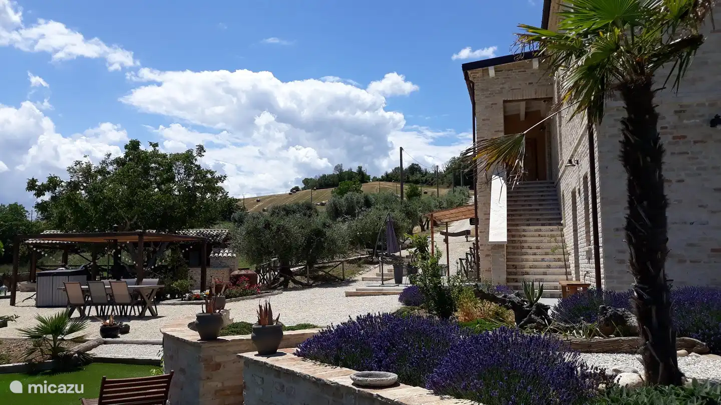 Il Olivo in Italien, Marken, Offida - appartement