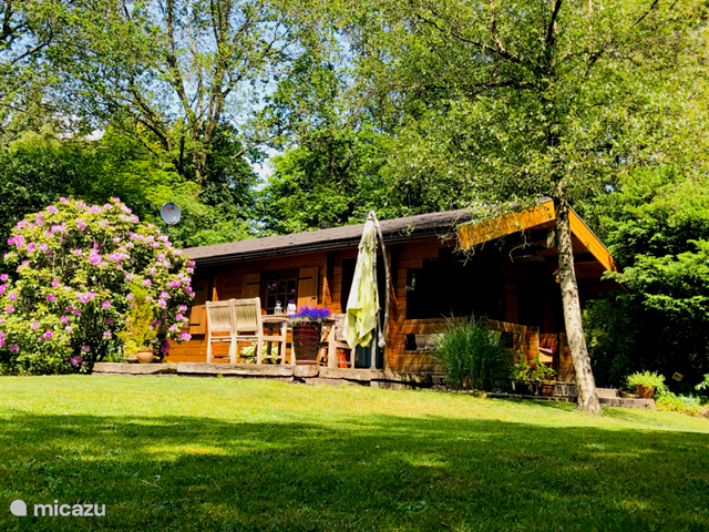 Holiday home in Netherlands, Drenthe, De Wolden - bungalow The Log Cabin