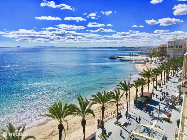 Casa Beausezo, appartement de luxe | Espagne, Costa Blanca, Torrevieja - appartement Plage et front de mer de Torrevieja, à 2 km de l'appartement