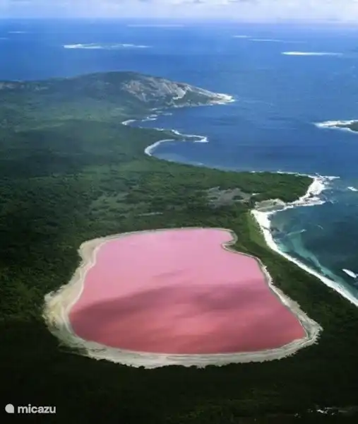 Salzsee von Torrevieja
