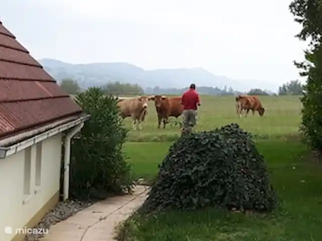 La Douce 69 Château Cazaleres en Francia, Ariège, Daumazan-sur-Arize - villa Vista desde el jardín de La Douche 69 hacia el este