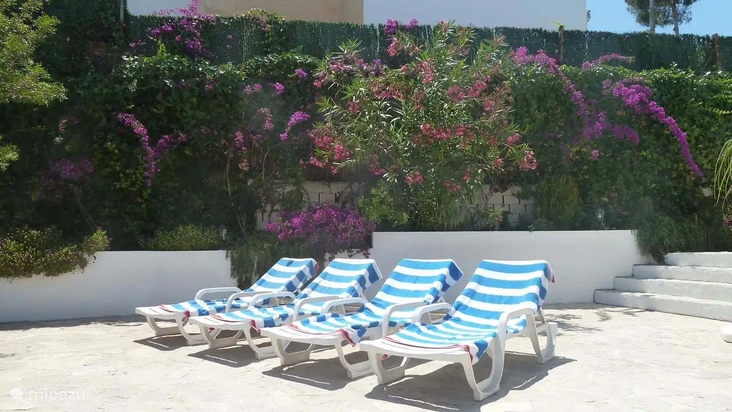 Hay muchas tumbonas.