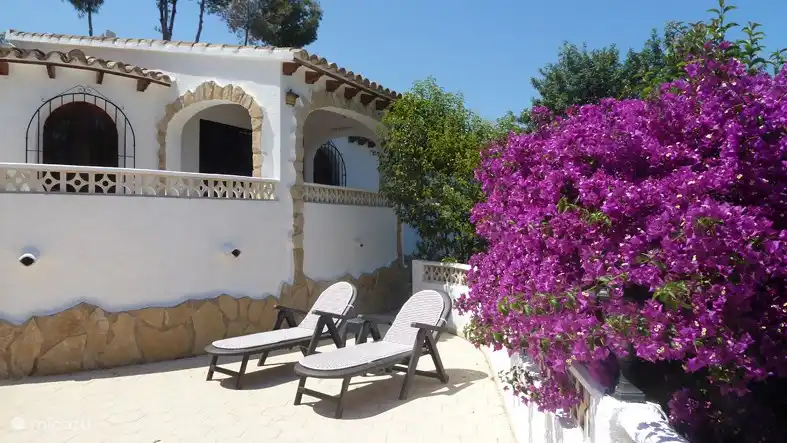 Las buganvillas del jardín florecen todo el año