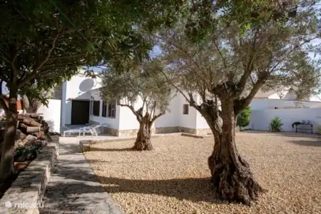 Vakantiehuis Spanje, Costa Blanca, Dénia finca Casa Bosch