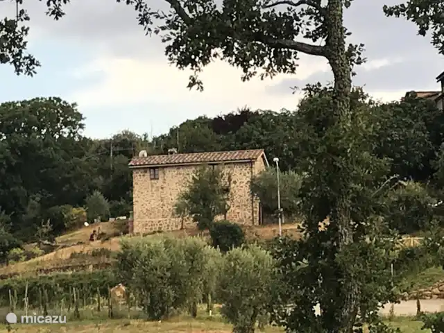 vakantiehuis huren in Italië, Umbrië, Piegaro – Casa Lavanda