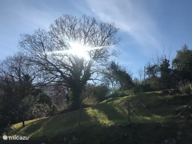 vakantiehuis huren in Italië, Umbrië, Piegaro – Casa Lavanda