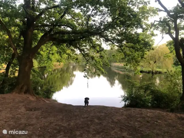 vakantiehuis huren in Italië, Umbrië, Piegaro – Casa Lavanda