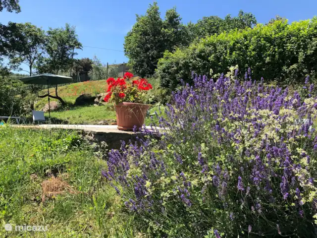 vakantiehuis huren in Italië, Umbrië, Piegaro – Casa Lavanda