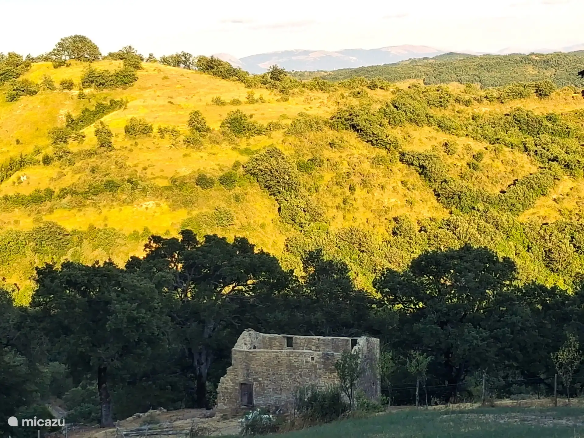Nature Pietralunga