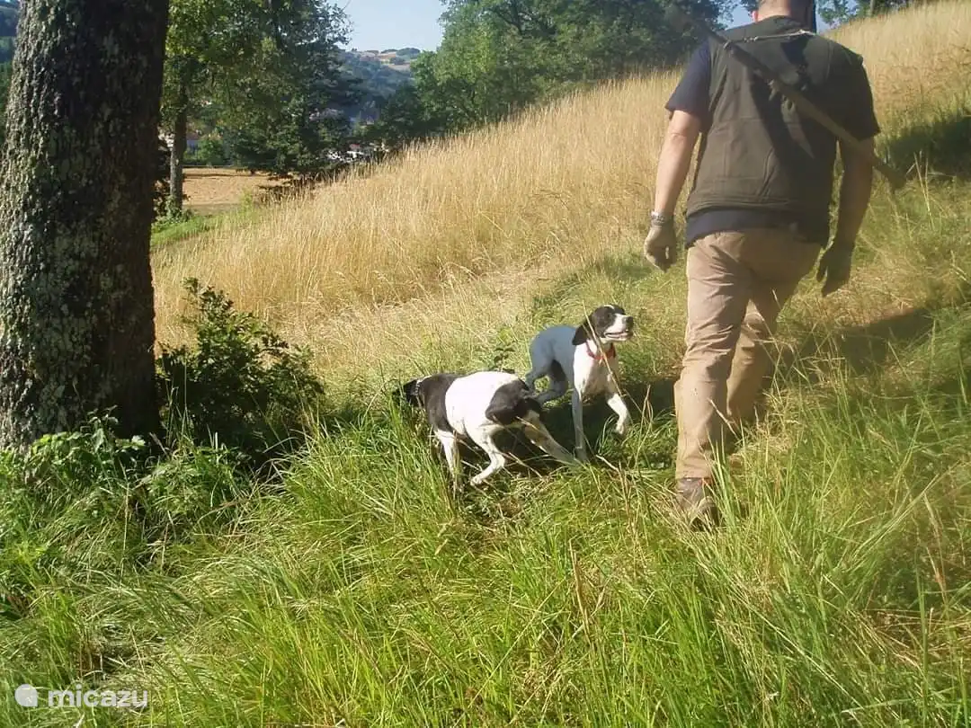 Auf einer Trüffeltour
