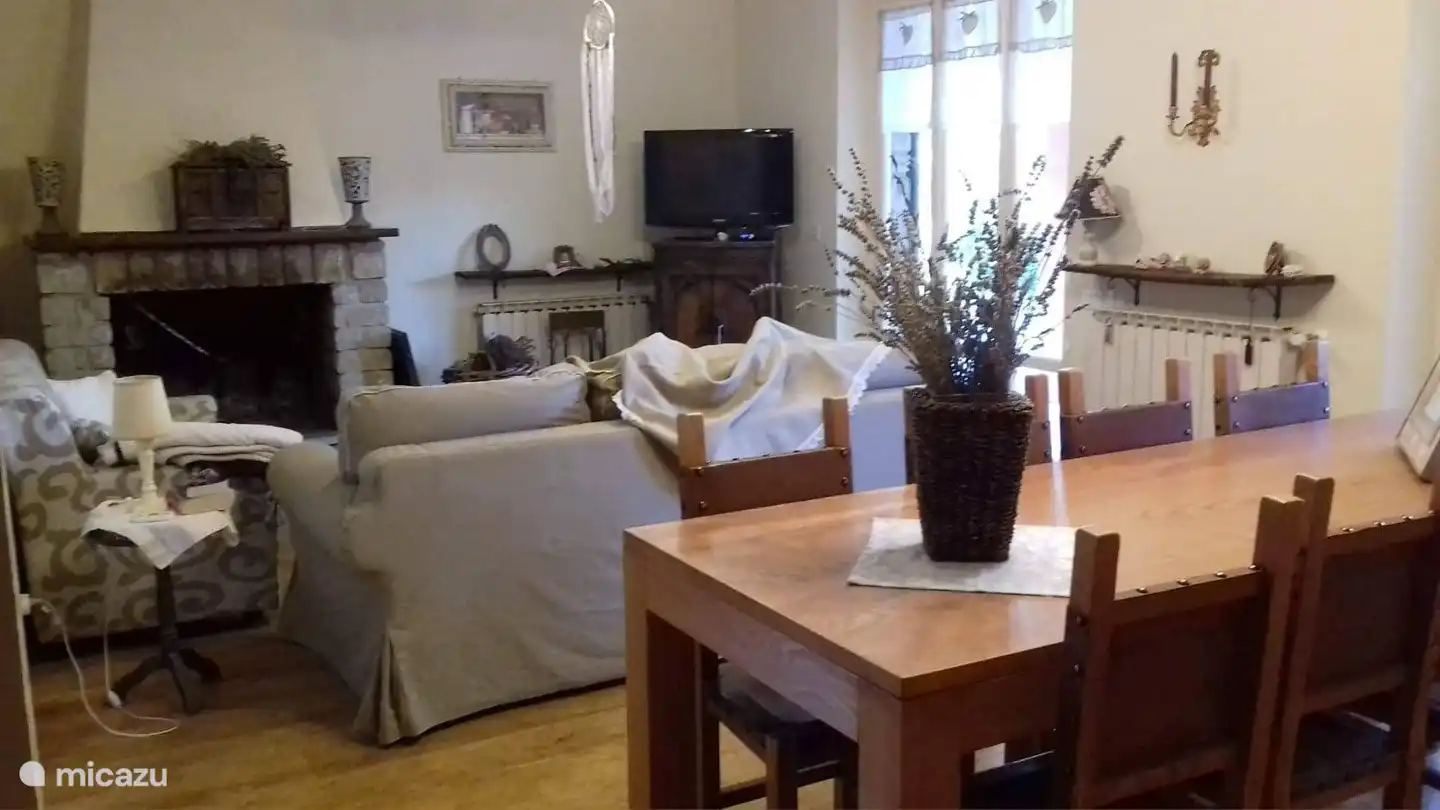 Salon mit Kamin. Satelliten Fernsehen.