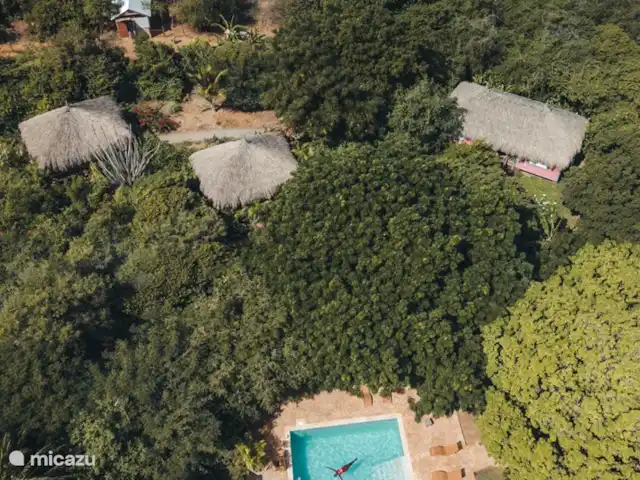 Yuana huren in Curaçao, Curacao-Midden, Sint Michiel - blokhut / lodge Luchtfoto Mondi Lodge