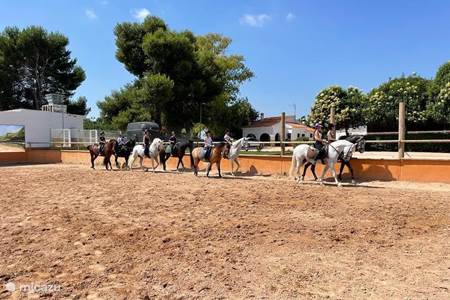 Paardrijden of een Manege bezoeken 