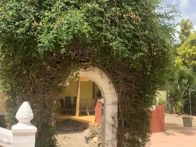 Casa Sol Montroy Valencia, España en España, Valencia, Montroy - casa vacacional La hermosa vegetación en el jardín de Casa Sol