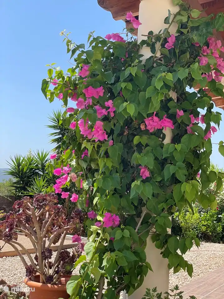 Una hermosa naturaleza, muy adecuada para hermosos paseos y recorridos en bicicleta. 