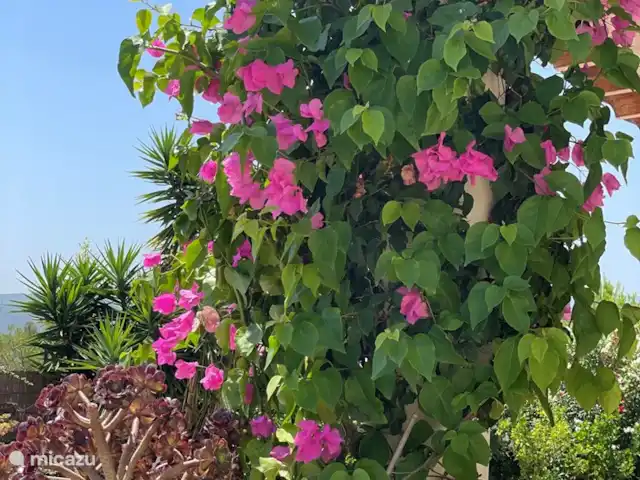 Casa Sol Montroy Valencia, España en España, Valencia, Montroy - casa vacacional Una hermosa naturaleza, muy adecuada para hermosos paseos y recorridos en bicicleta.