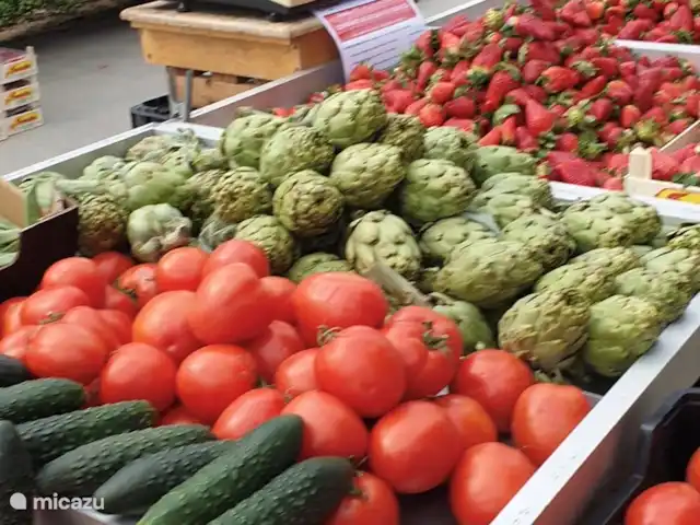 Casa Sol Montroy Valencia, España en España, Valencia, Montroy - casa vacacional Las frutas y verduras están disponibles en abundancia en el mercado.