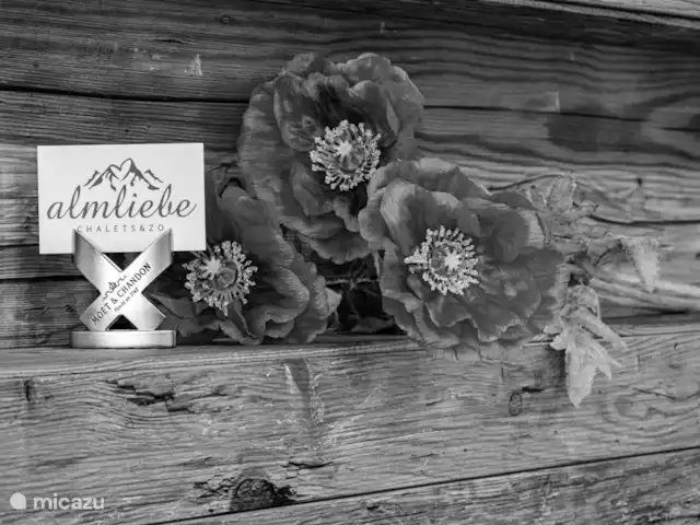 Location de Vacances Autriche, Salzburgerland, Krimml, chalet - Chalet Zillertal Arena 2