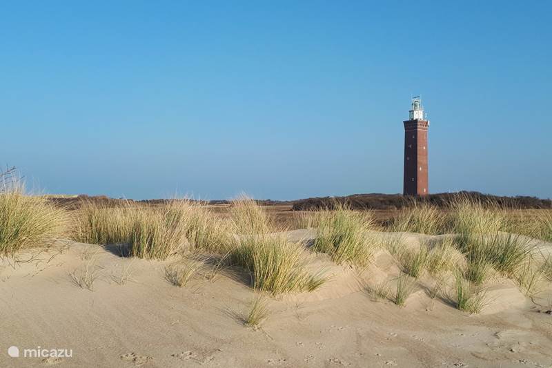 Vacation rental Netherlands, South Holland, Ouddorp Holiday house Abbiocco, nicest house by the sea!