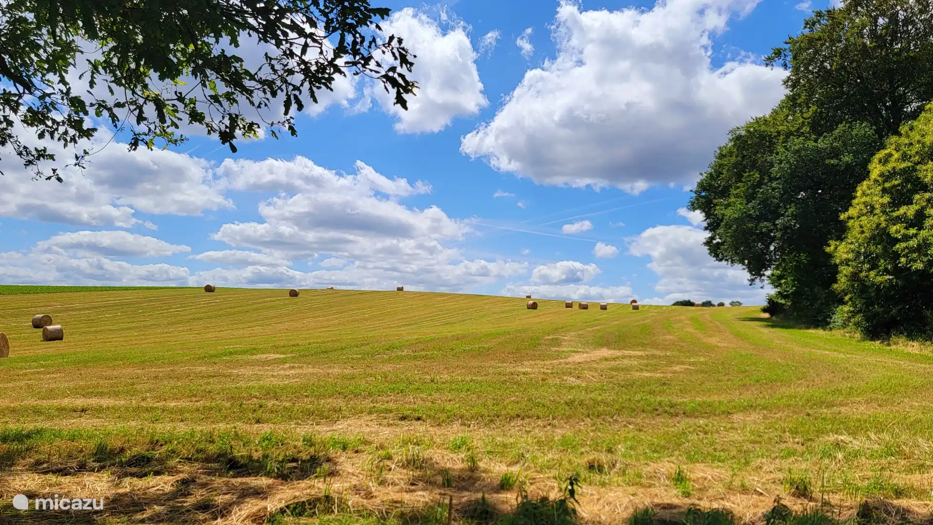 het achterliggende veld